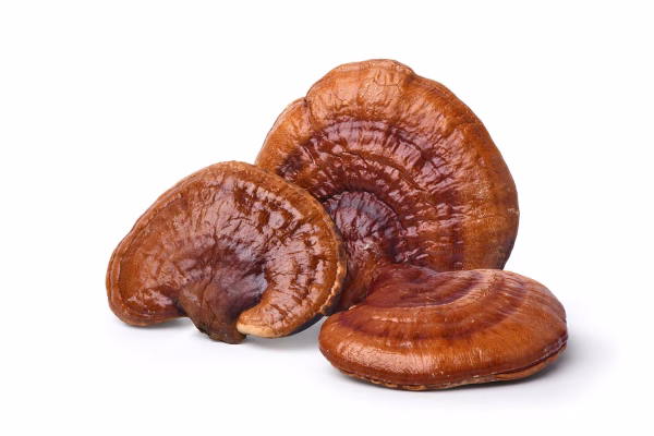 Bio Reishi Extrakt - Vitalpilz | 90 Kapseln – Bild 3