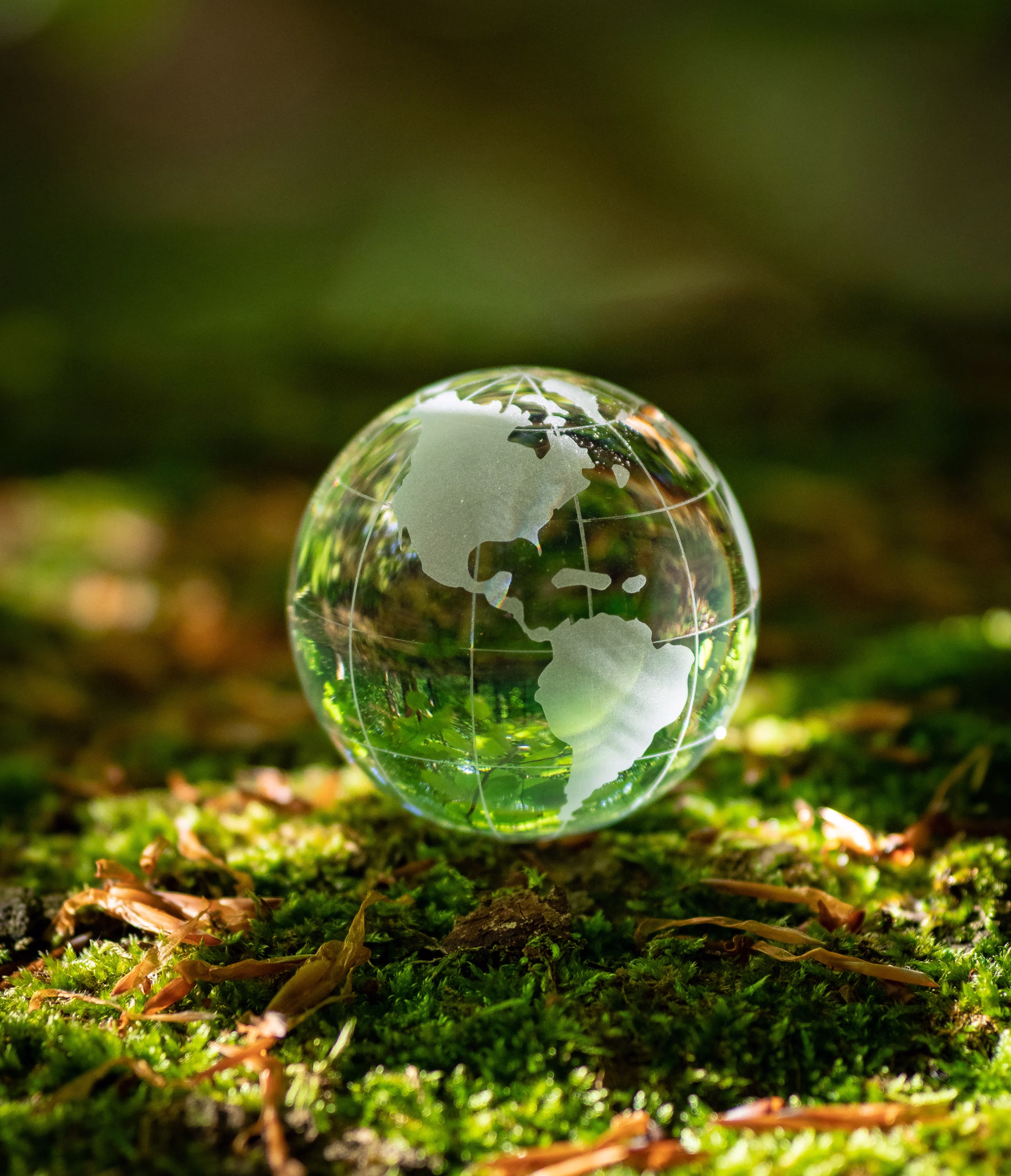 glass earth globe in forest. Hand hält einen grünen erdball in den händen<br />