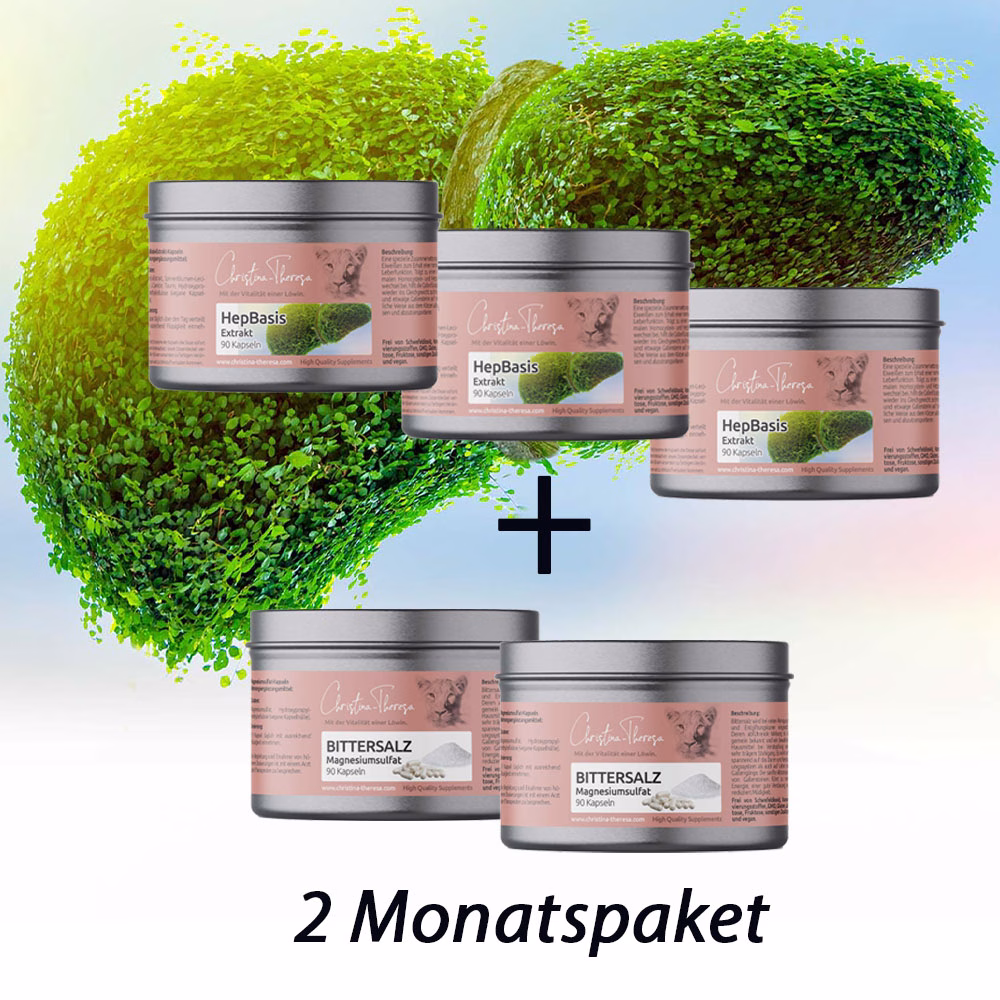 HepGall OX | Basis Set | Gallensteine ADE - ohne OP | 2 Monate