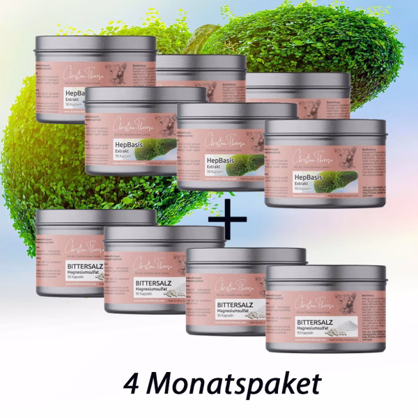 HepGall OX | Basis Set | Gallensteine ADE - ohne OP | 4 Monate